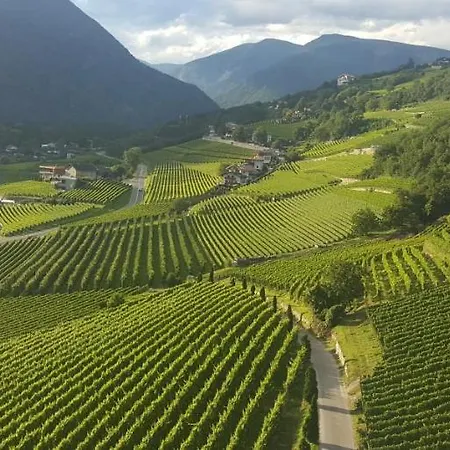 Pacherhof Bressanone